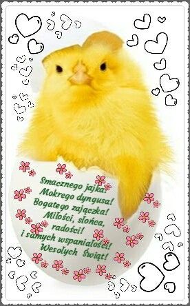 Dwa kurczaki w pisance smacznego jajka